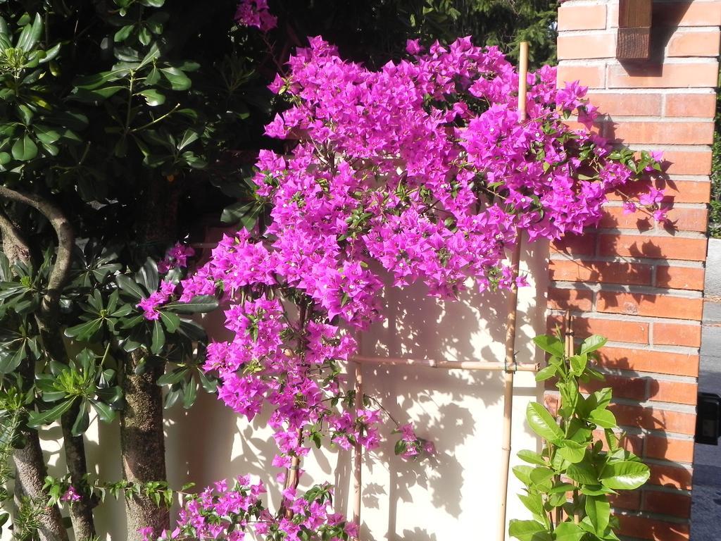 Villa Il Fortino 리도디캄파이오레 외부 사진