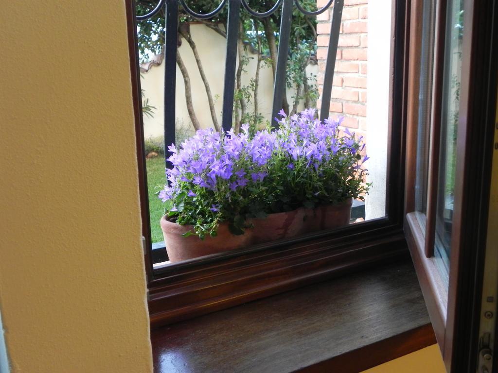 Villa Il Fortino 리도디캄파이오레 외부 사진