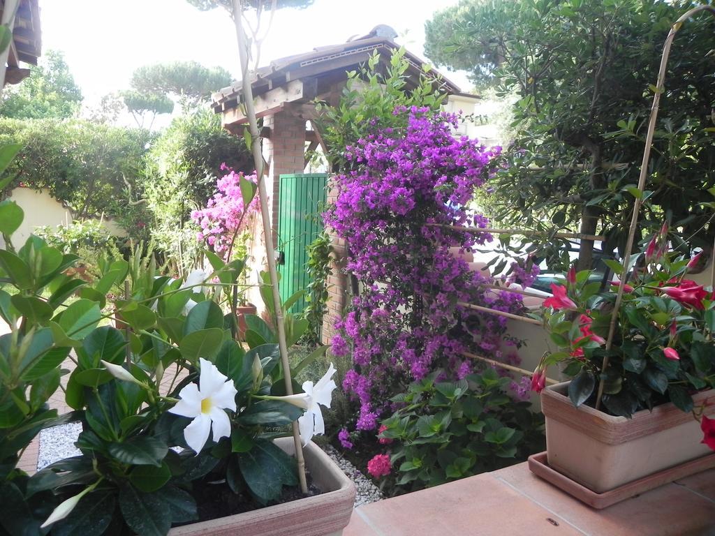 Villa Il Fortino 리도디캄파이오레 외부 사진