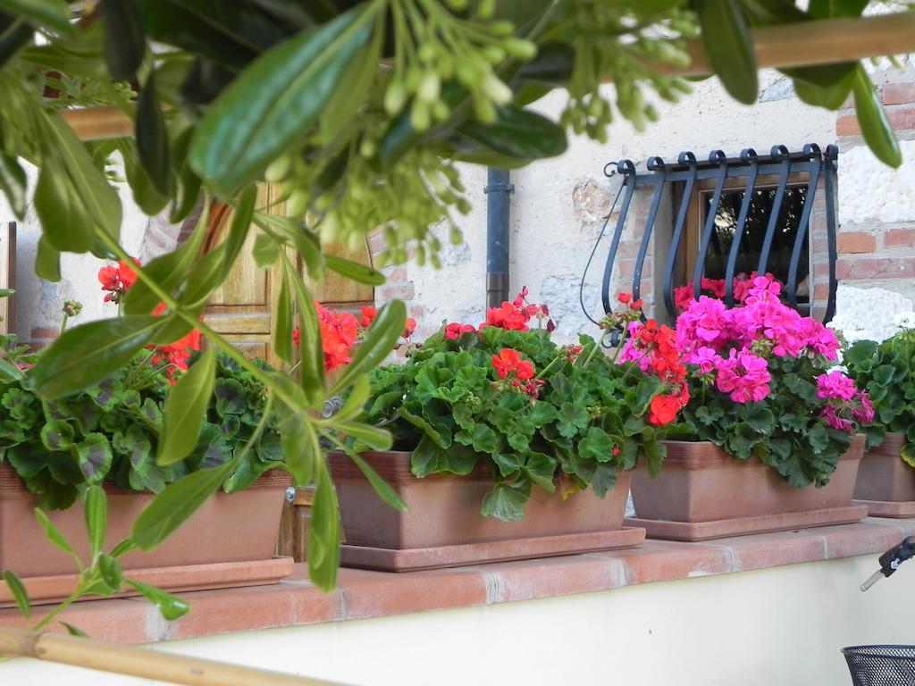 Villa Il Fortino 리도디캄파이오레 외부 사진