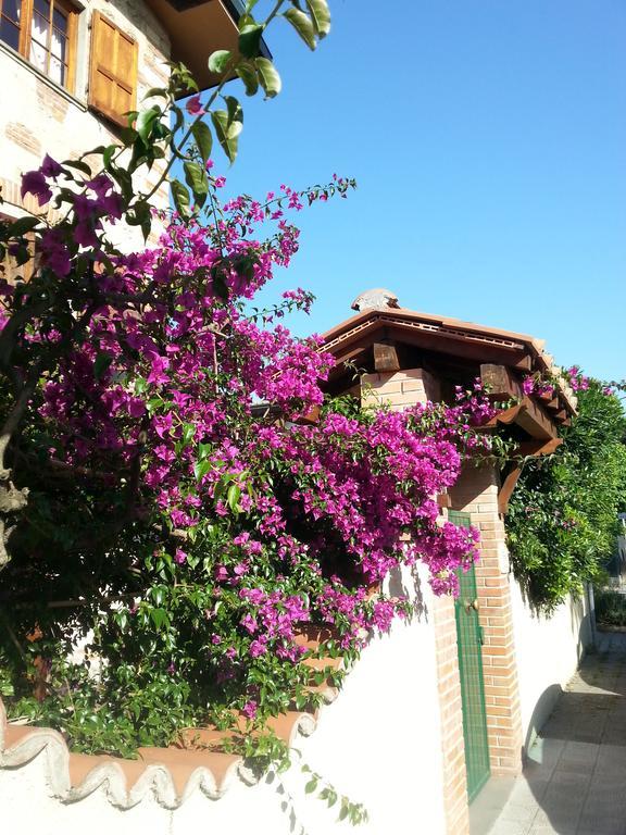 Villa Il Fortino 리도디캄파이오레 외부 사진